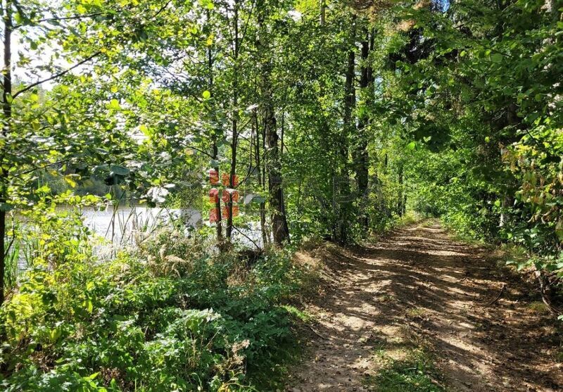 Prodej rybníku a přilehlých pozemků v katastru obce Horní Ves