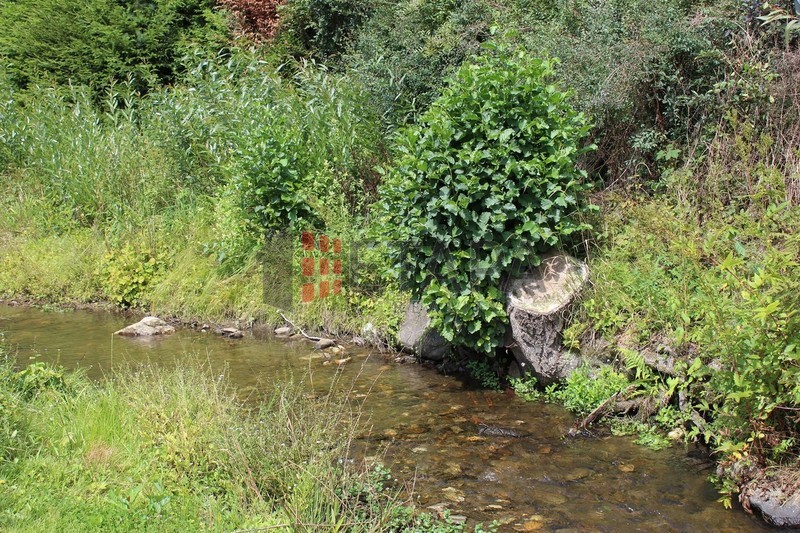 Prodej chaty s pozemkem u obce Nahořany v okrese Český Krumlov.