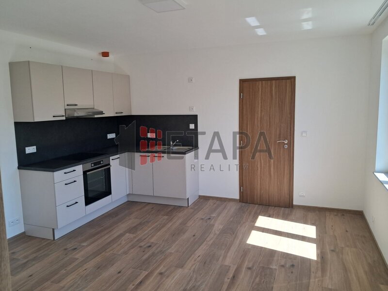 Pronájem nového  prostoru o dispozici 2+kk, 42 m², České Budějovice – lokalita Litvínovická