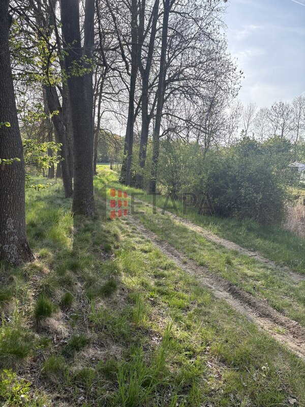 Zemědělská usedlost s developerským potenciálem – Kbelnice, Strakonicko (7 719 m²)