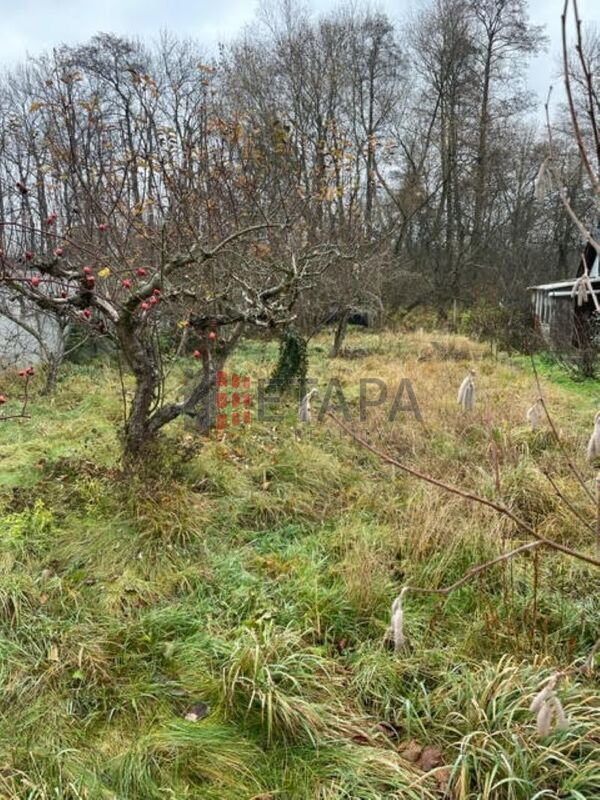 Prodej chaty v zahrádkářské kolonii  v Černé u Bohdanče